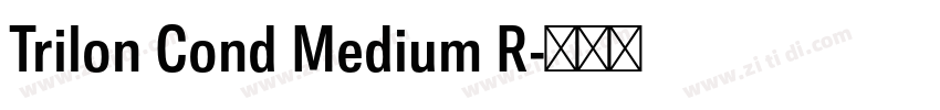 Trilon Cond Medium R字体转换